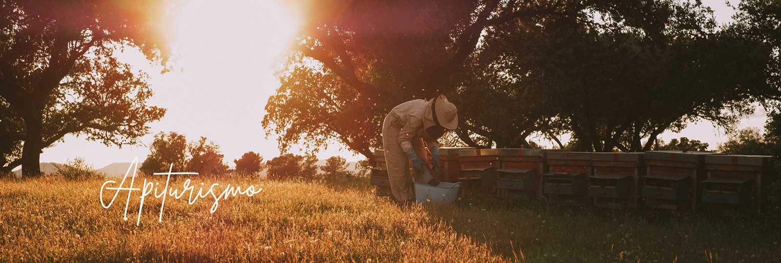 Apiturismo